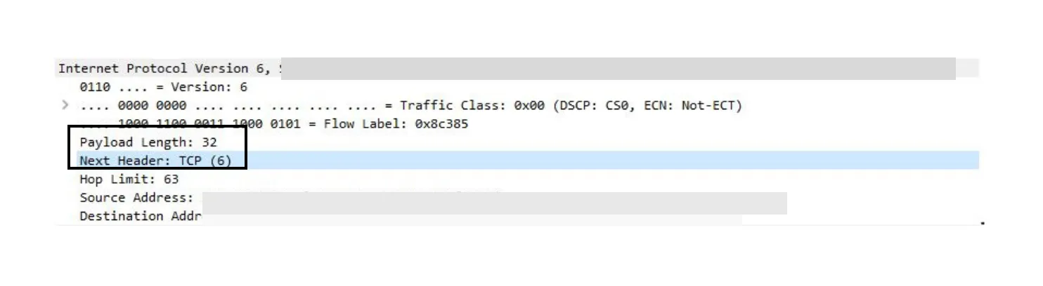 IPv6 packet containing TCP as payload in wireshark